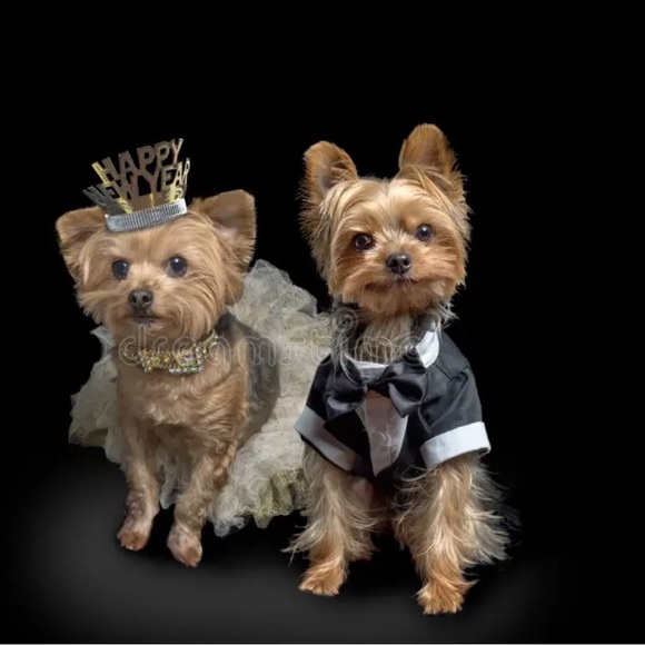 3,2,1……..💥💥💥💥💥💥2026🥳 - Picture 9 of 10